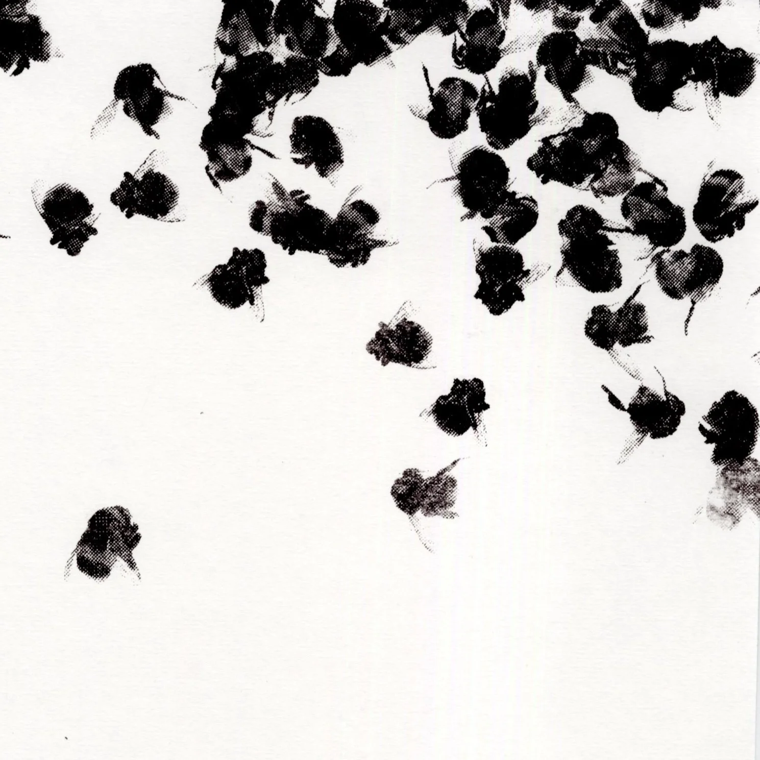 Black-and-white illustration of bees flying and gathering on a white background.