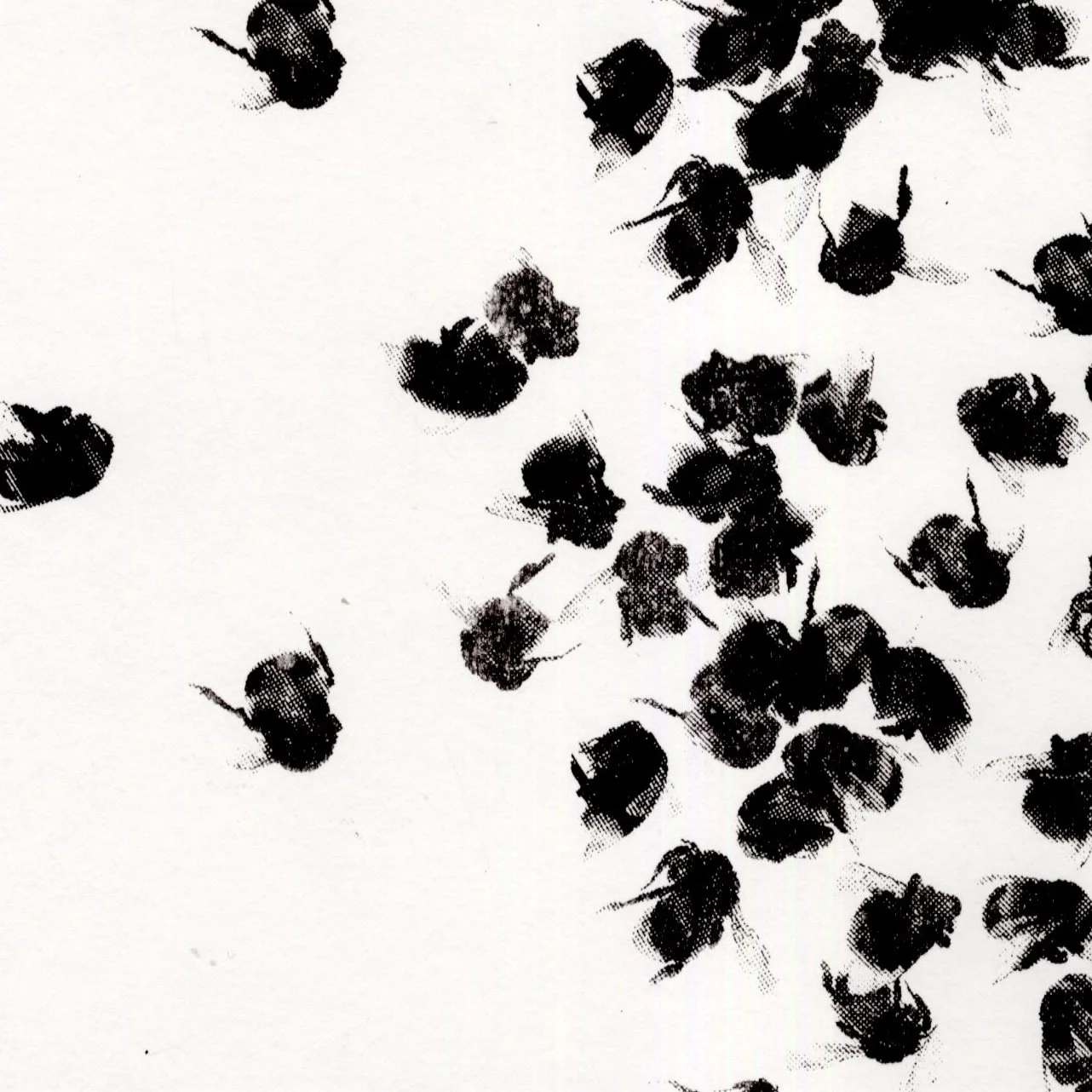 Black silhouettes of bees on a white background, scattered in various directions.