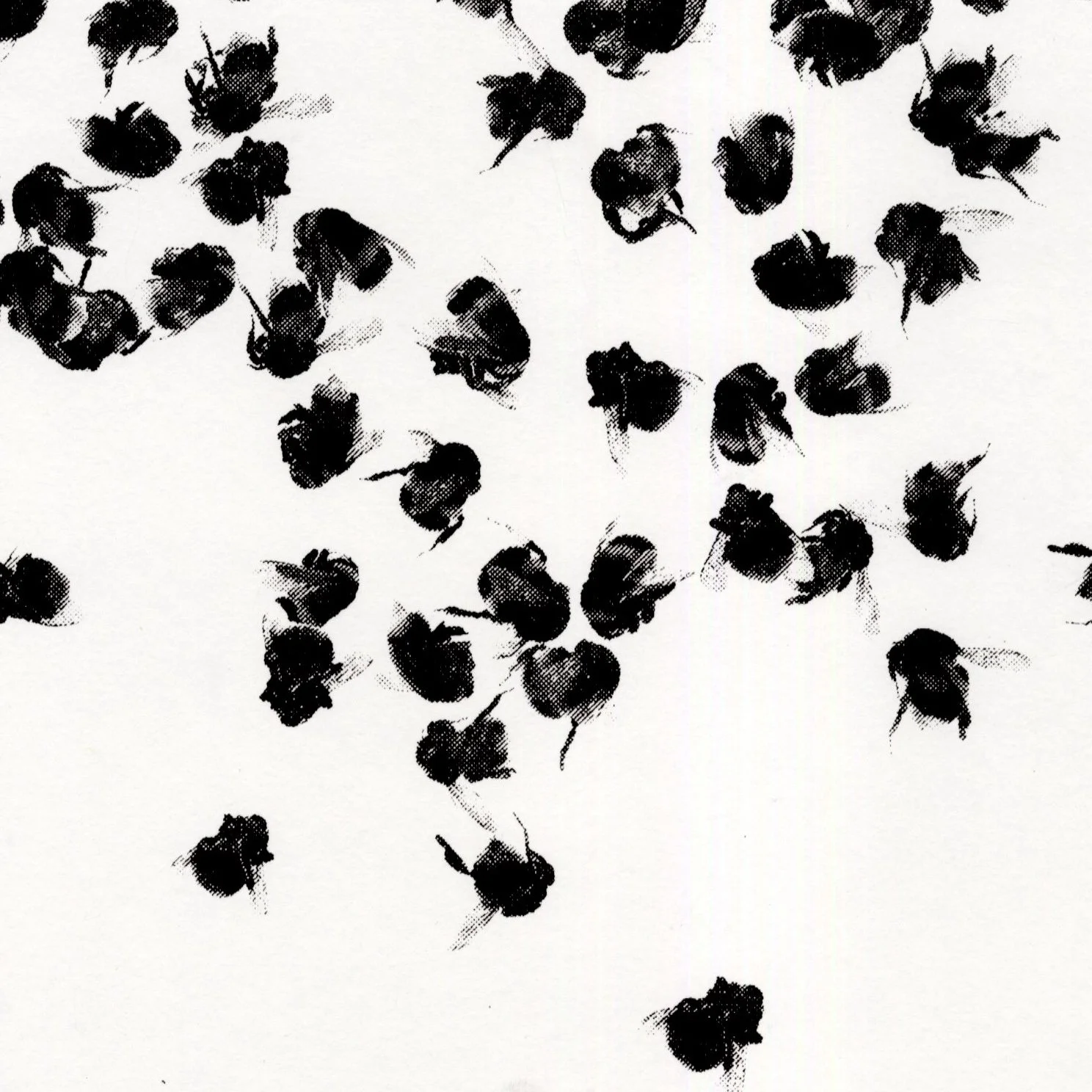A collection of black and white bumblebee imprints scattered against a white background, arranged in a random, overlapping pattern.