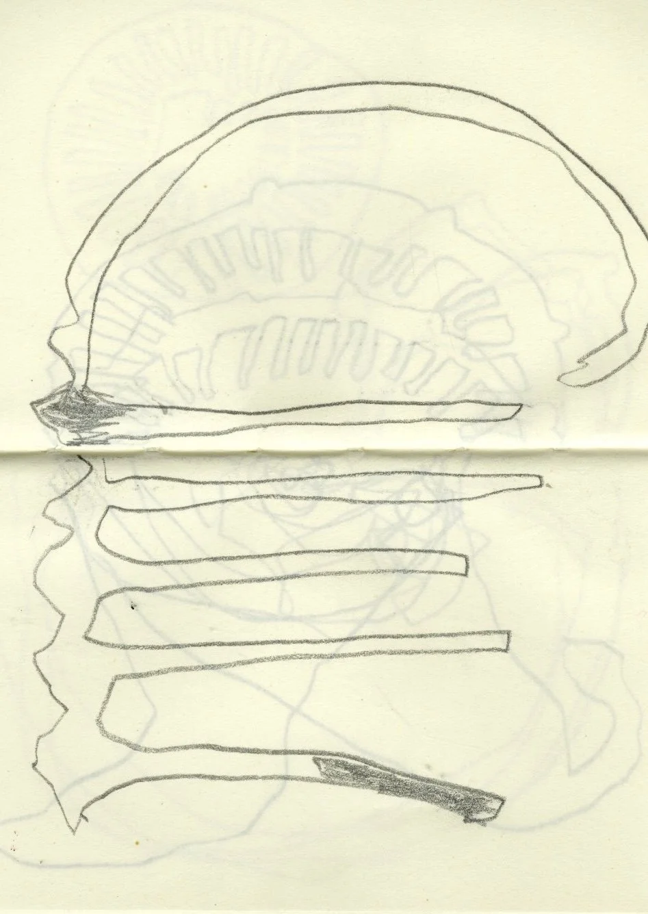 scanned sketchbook page of a pencil drawing