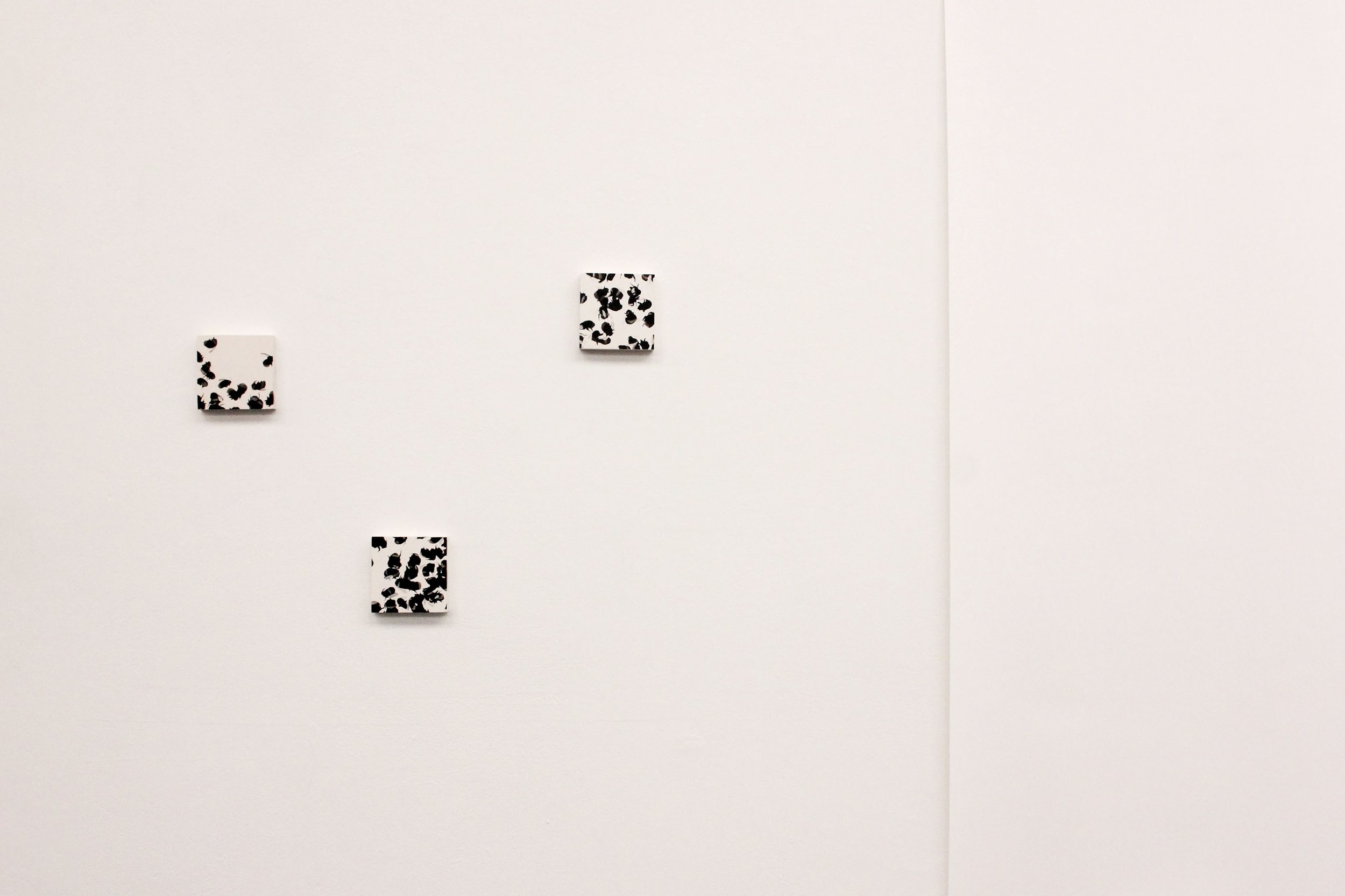 three square paintings of bee swarms hung on a white wall