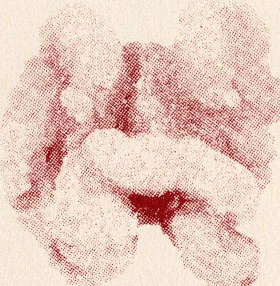A fast-moving GIF of screen printed walnut images by Evie Rich, 2025