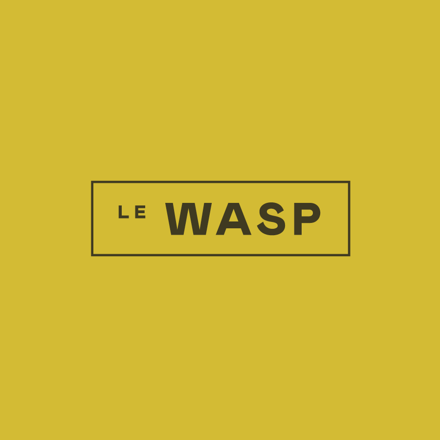 LeWaspCT