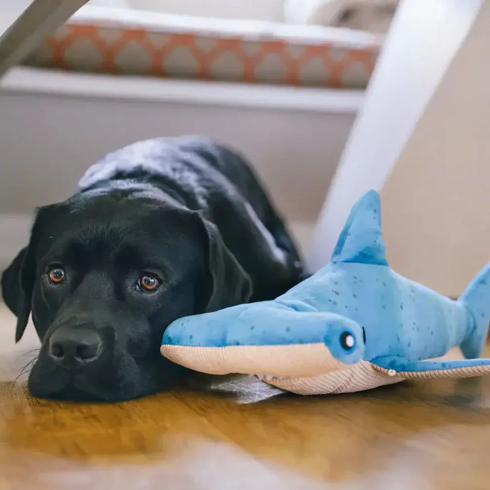 Ocean Buddies - Hammerhead Shark - Large
