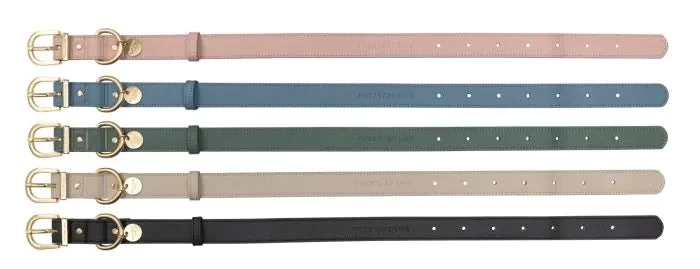 collars .webp