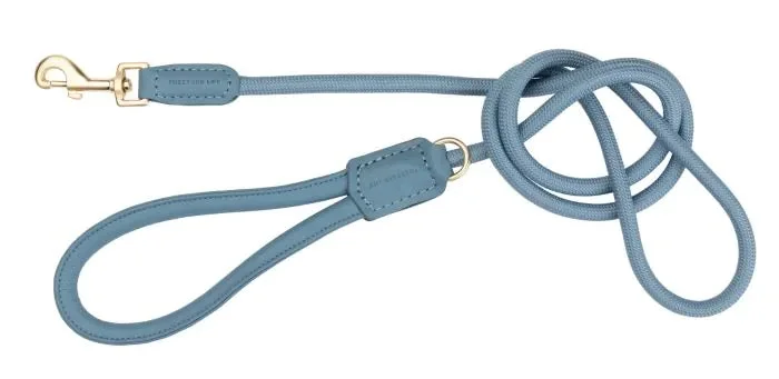 blue lead.webp