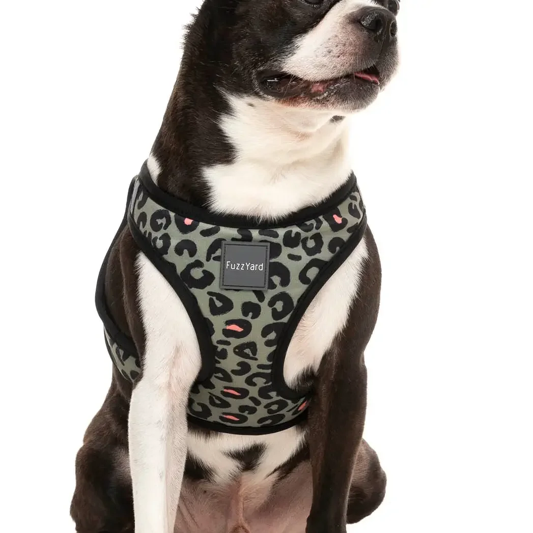 Savanna Step in Harness