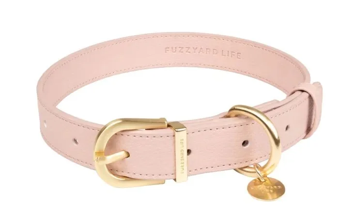 collar .webp