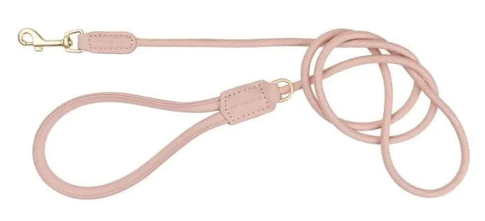 pink lead .webp