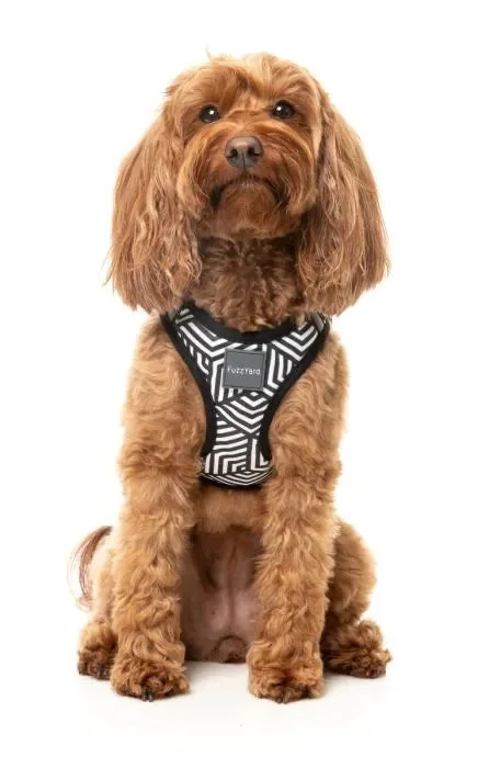 harness 1.webp