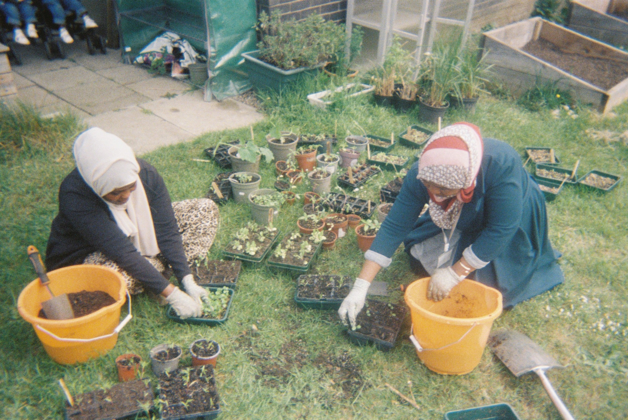 I like gardening with friends, 