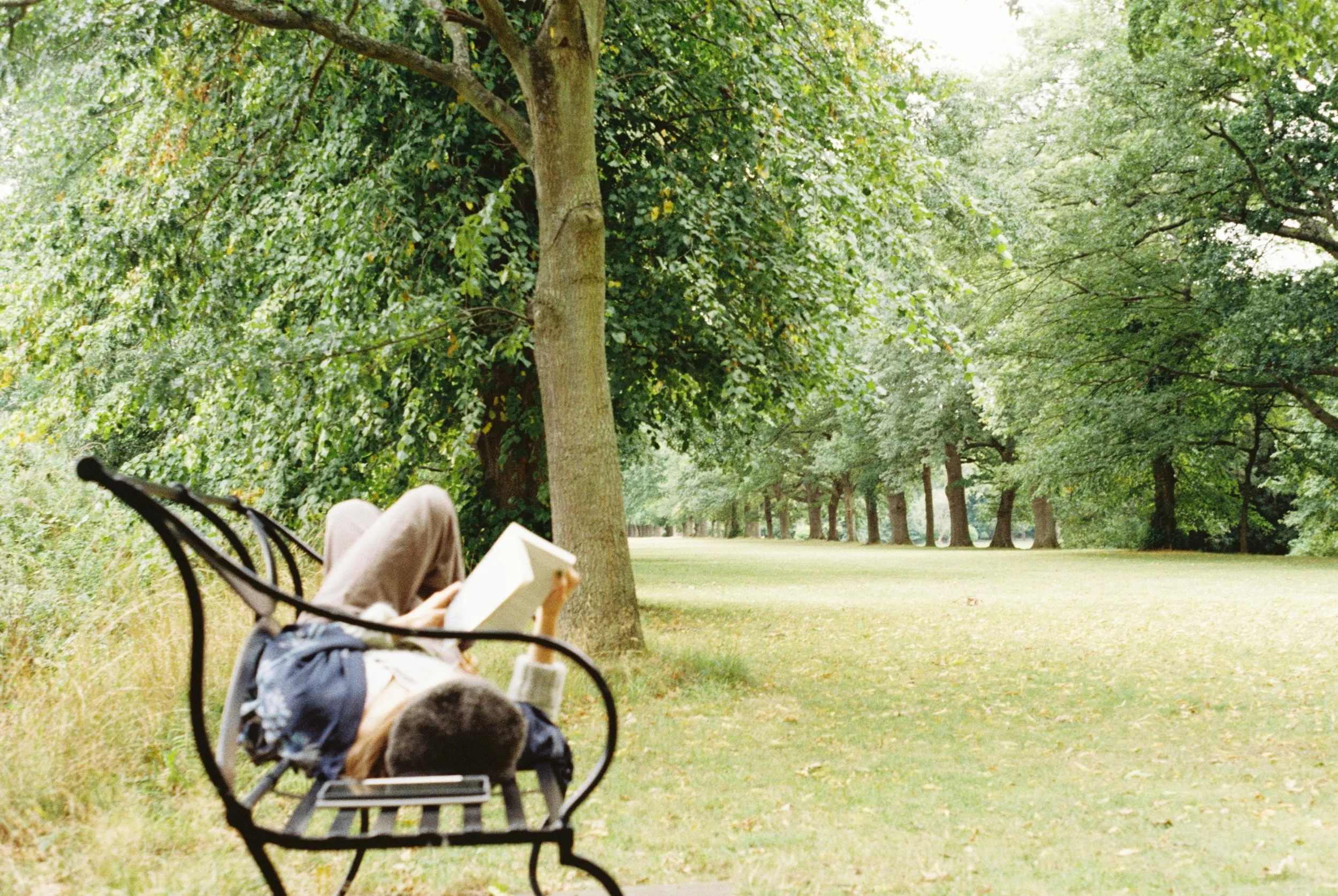 I nap a lot, especially after reading,