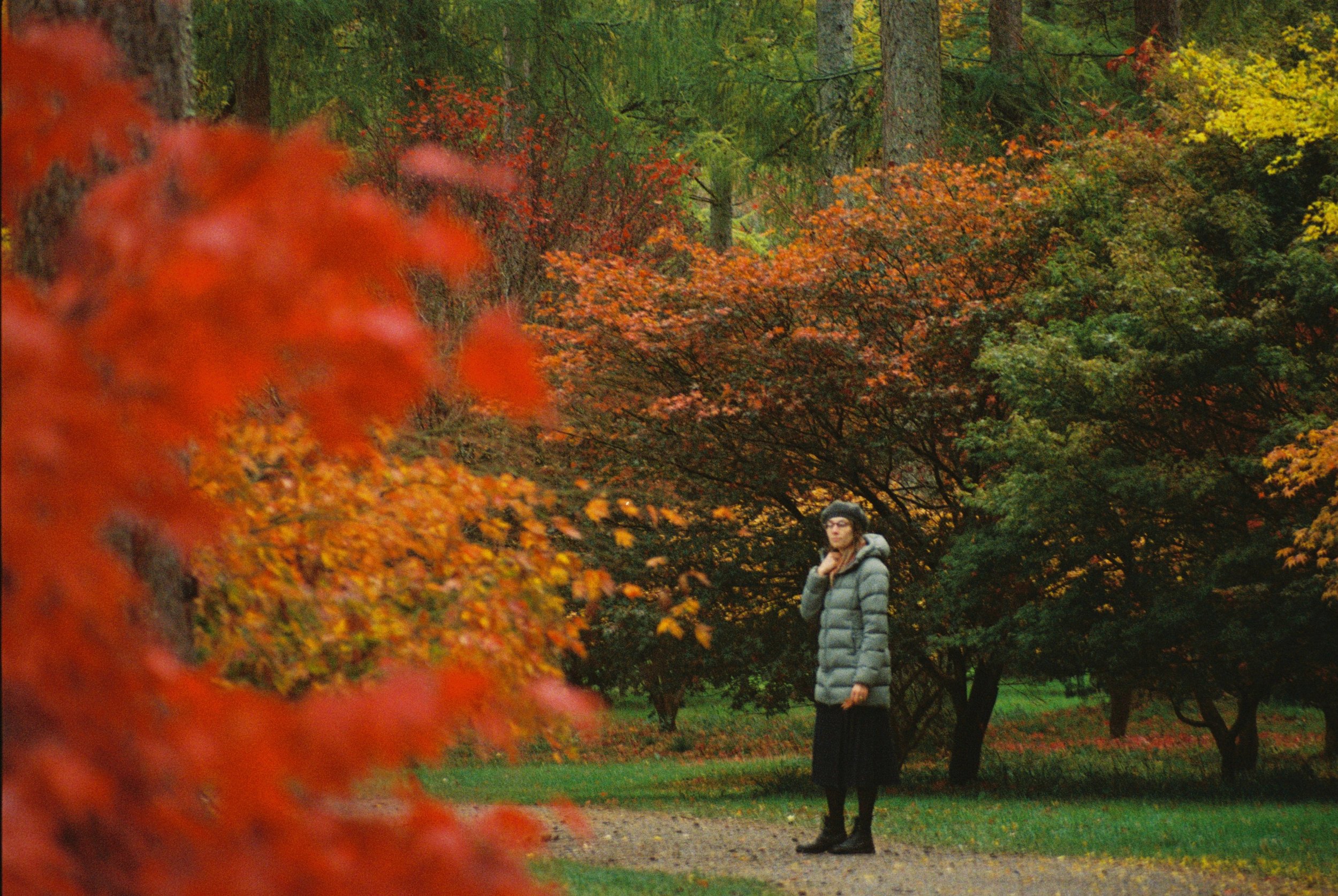 I love trees,
