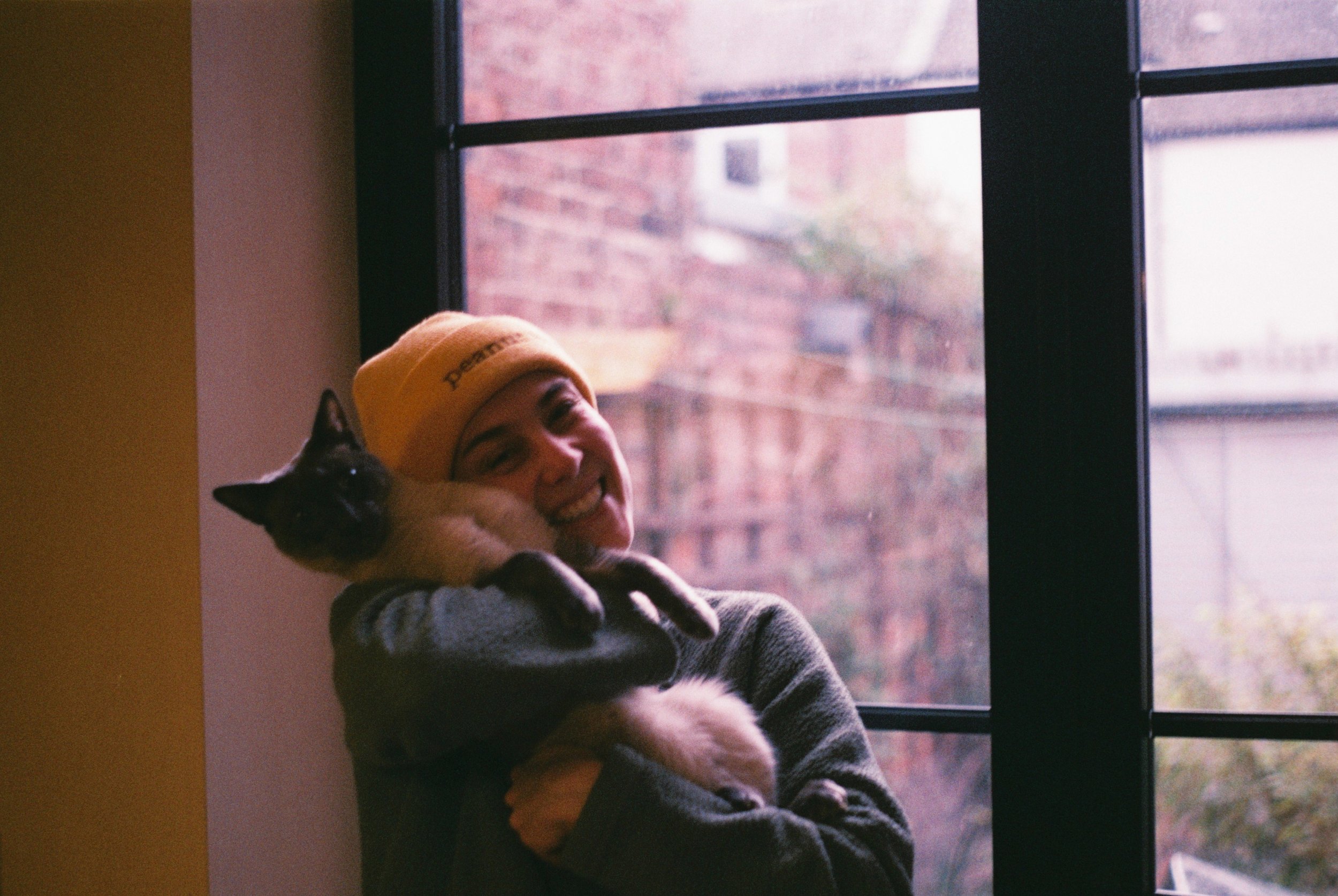 I like cats, 