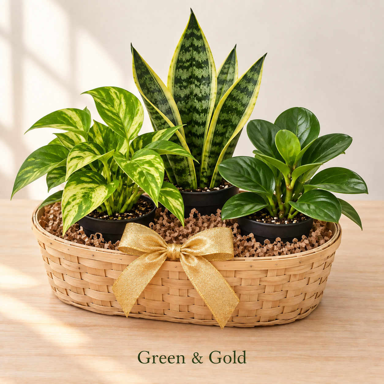 Green and Gold - 3 Plants.png