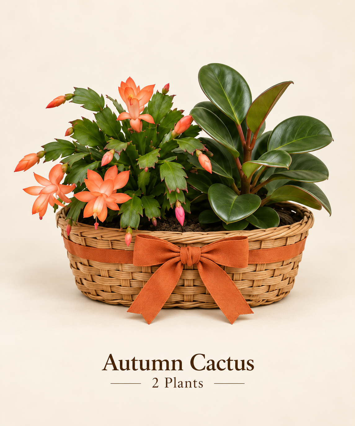 Autumn Cactus - 2 Plants.png