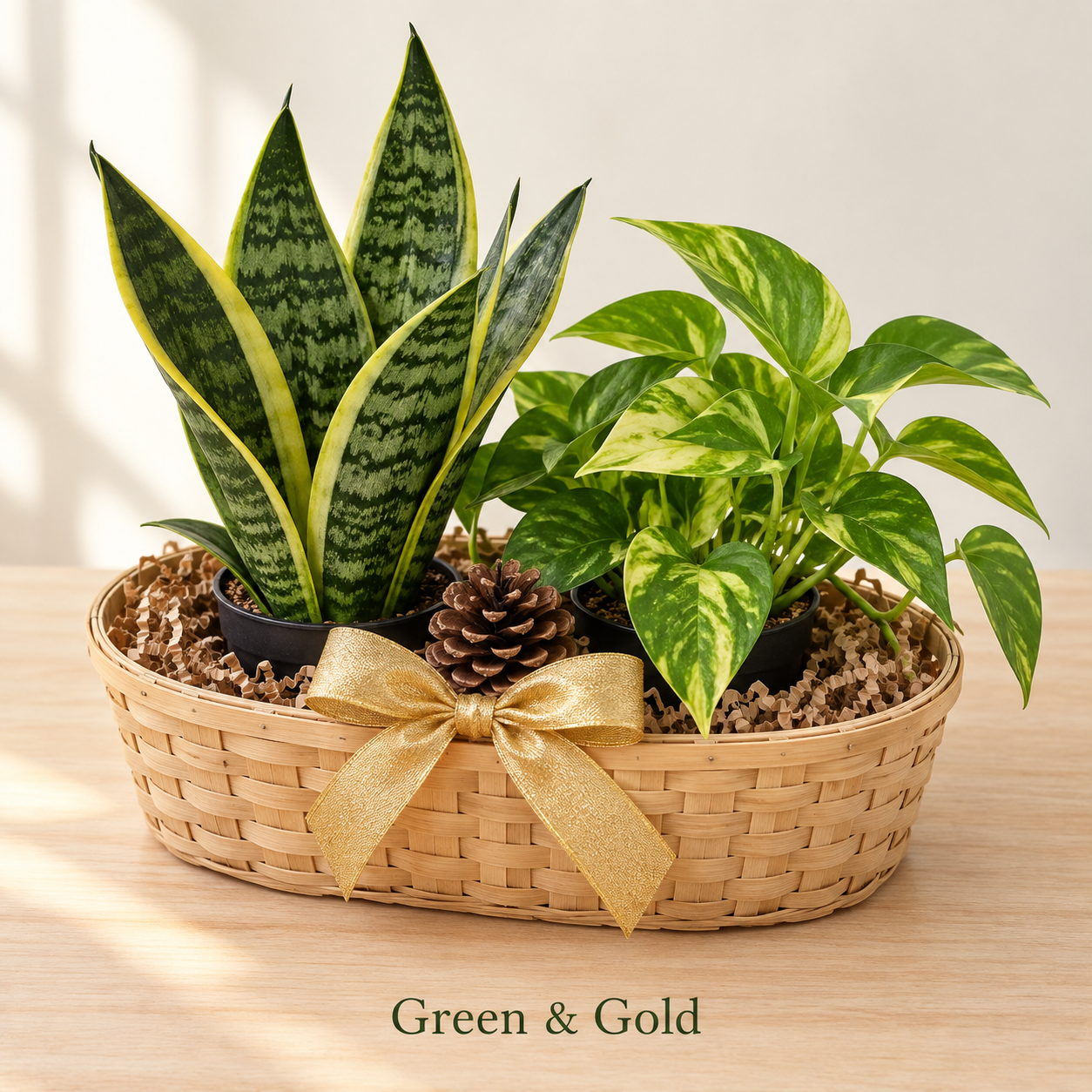 Green and Gold - 2 Plants.png