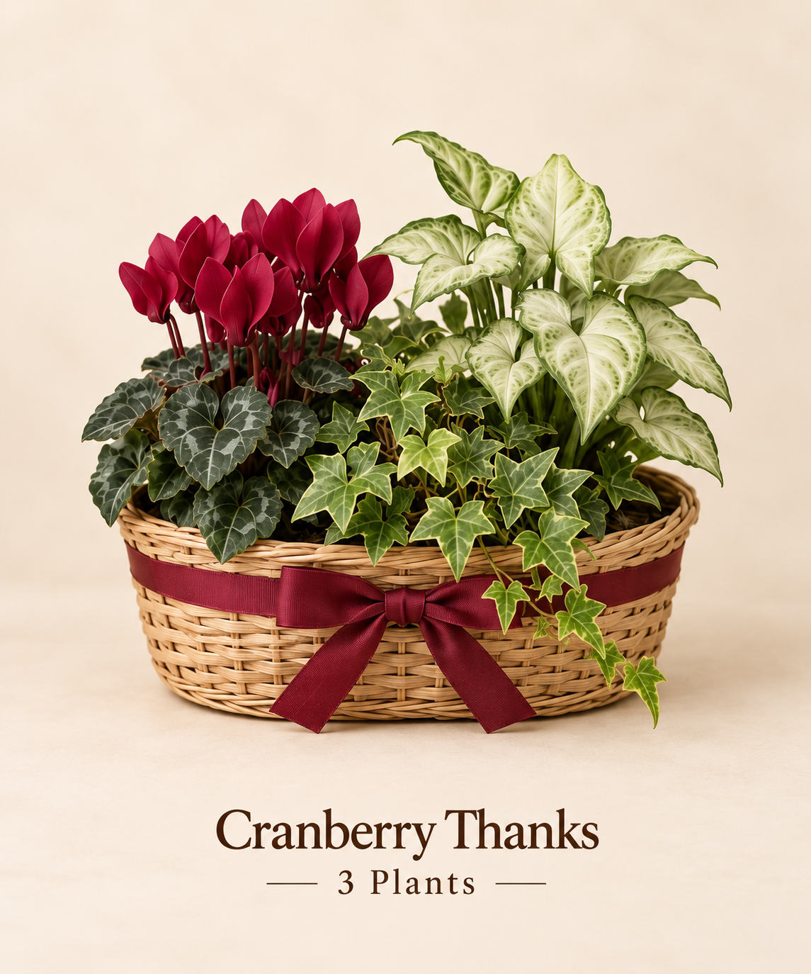 Cranberry Thanks - 3 Plants.png