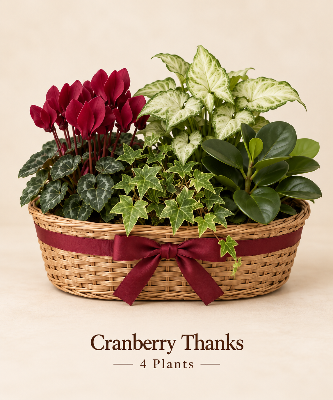 Cranberry Thanks - 4 Plants.png