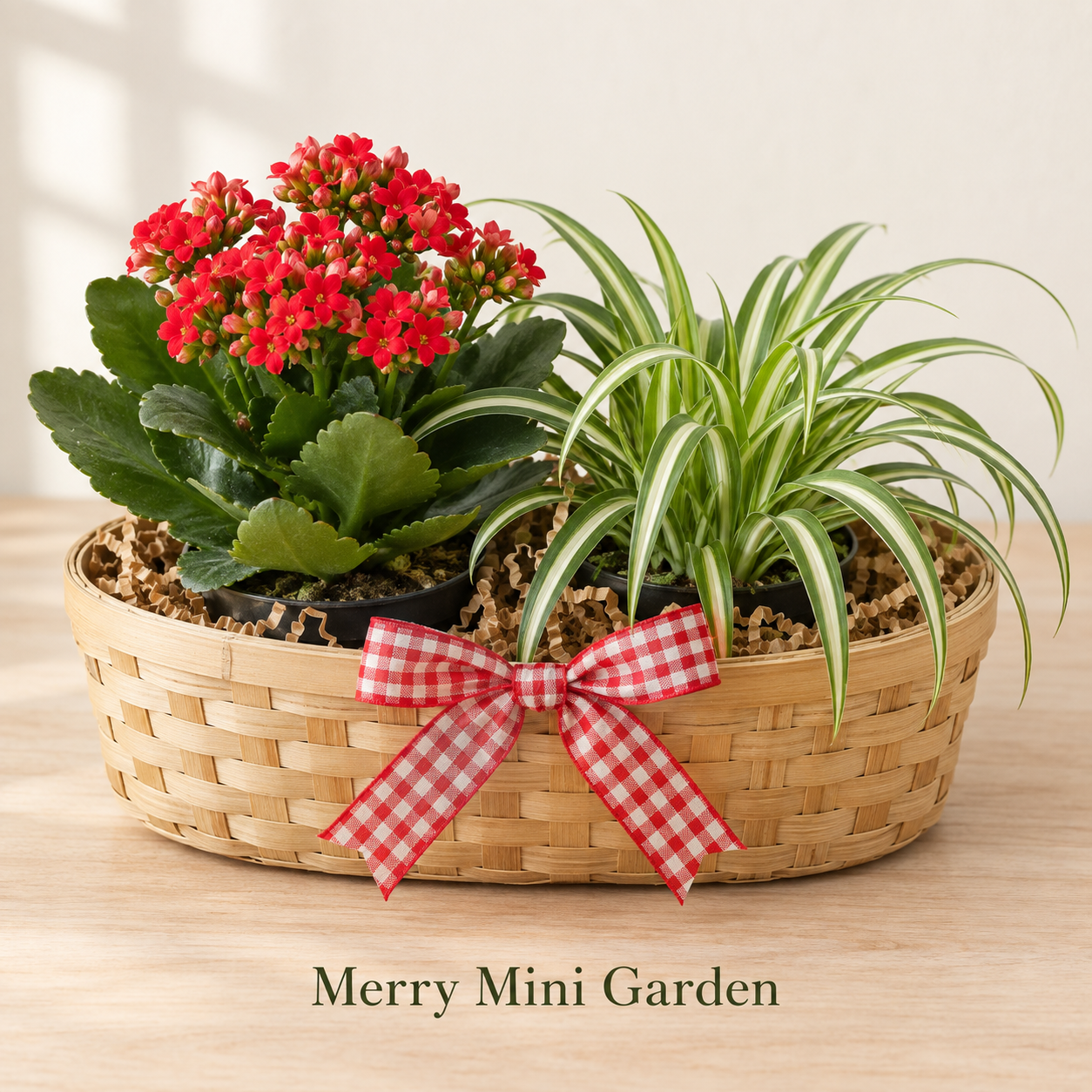 Merry Mini Garden - 2 Plants.png