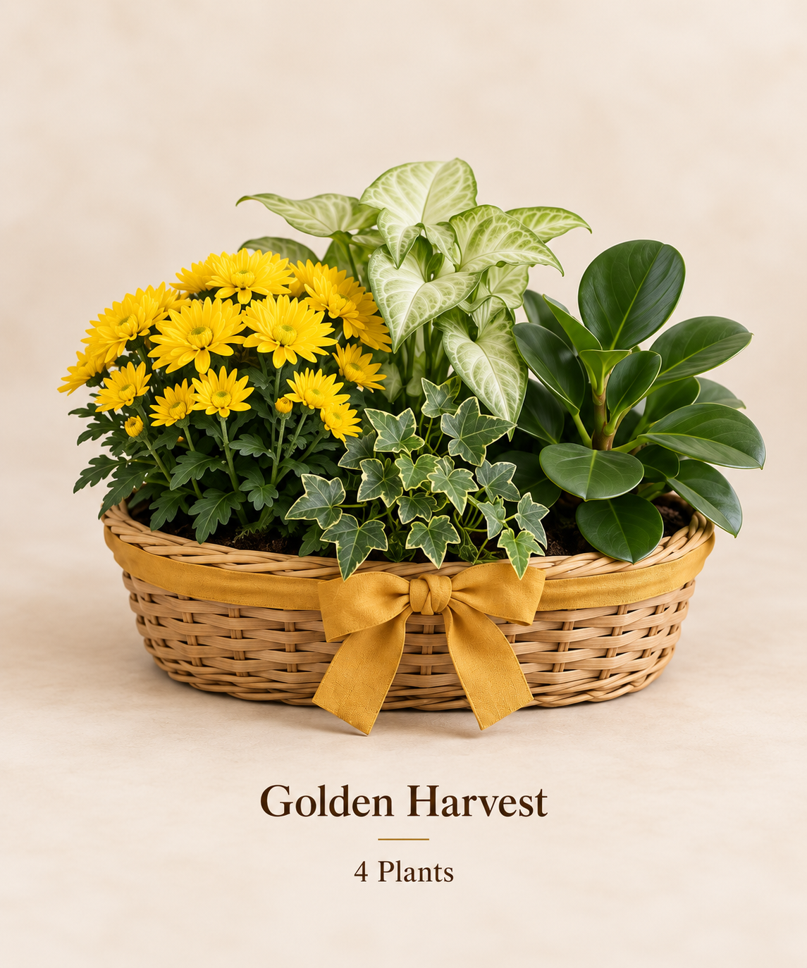 Golden Harvest - 4 Plants.png