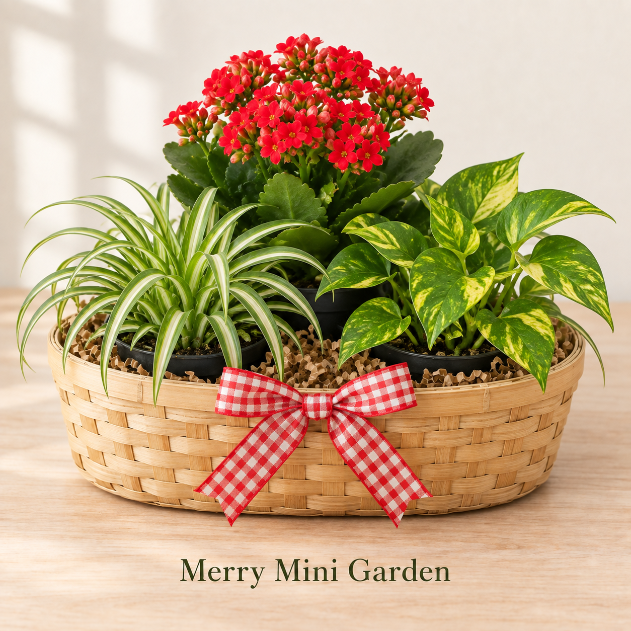 Merry Mini Garden - 3 Plants.png