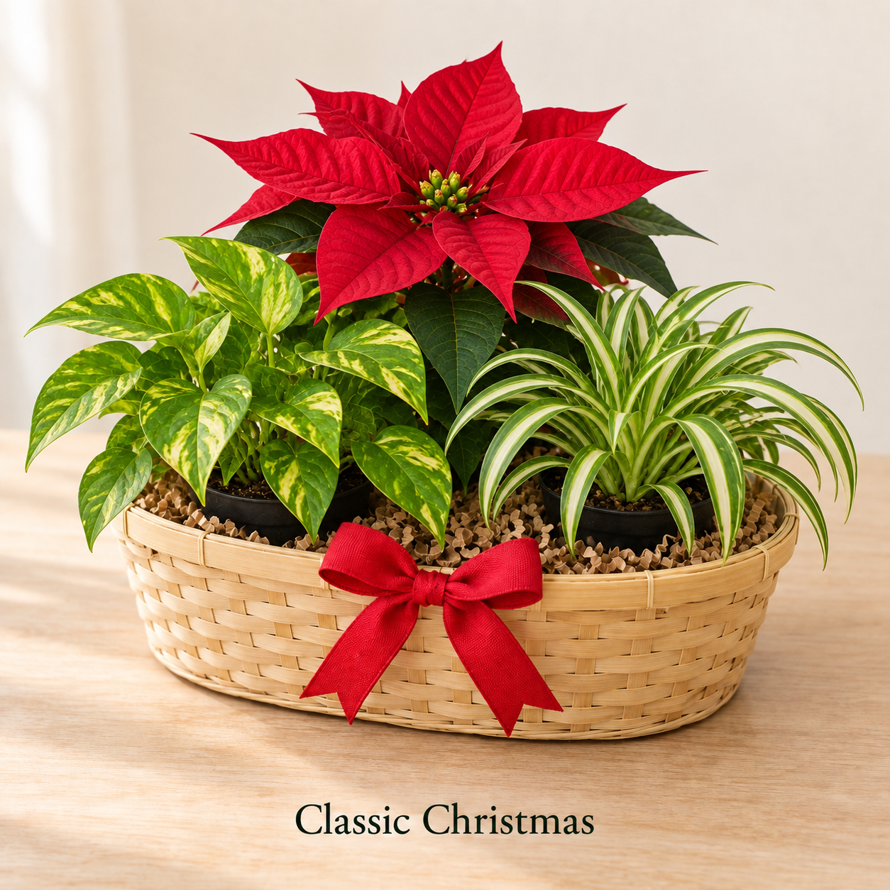 Classic Christmas - 3 Plants.png