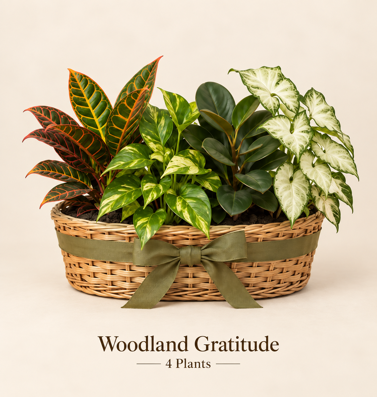 Woodland Gratitude - 4 Plants.png