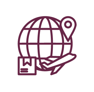Outline of a globe, a location pin, a hand, and a box, representing global shipping or logistics.