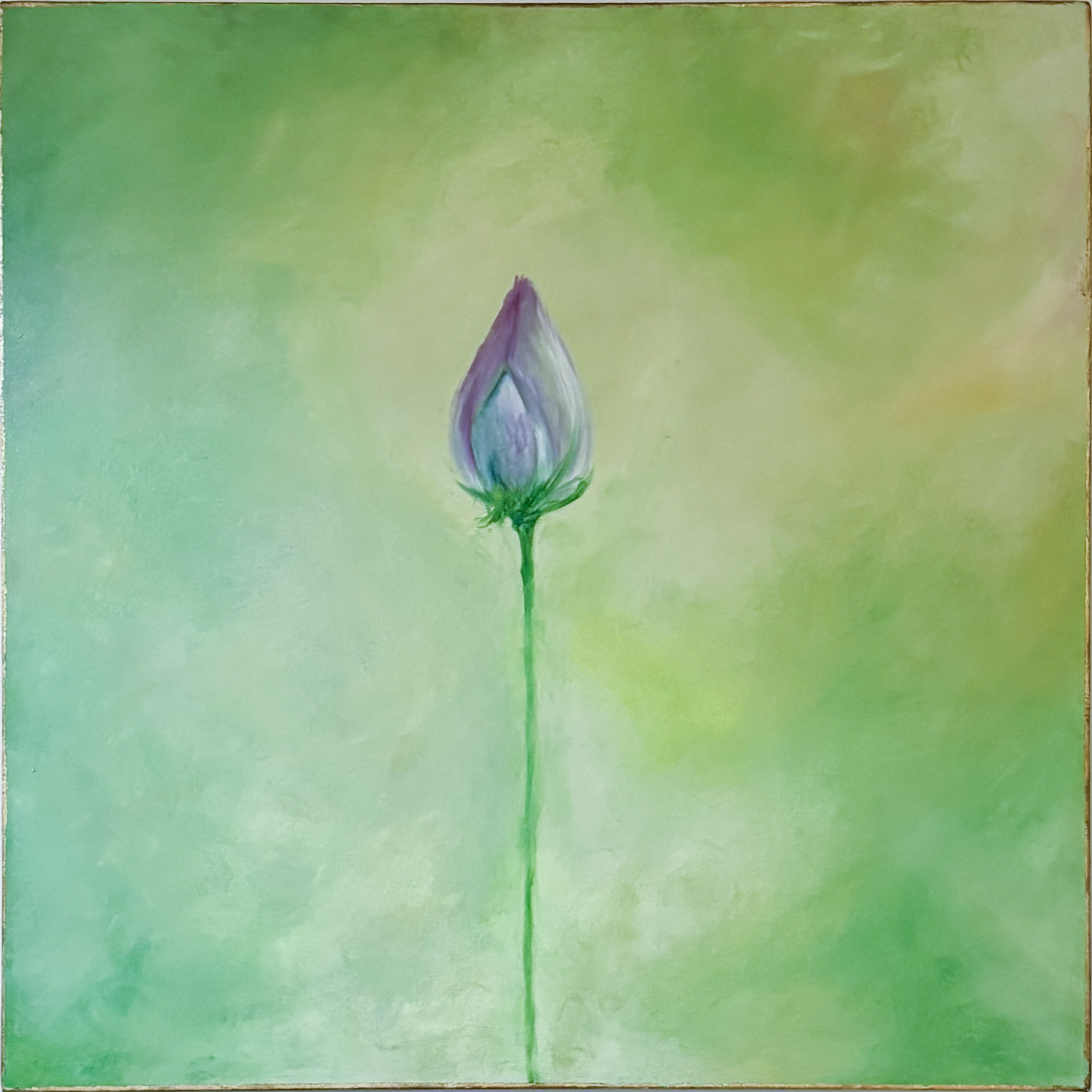 A close-up view of a small purple flower bud with green sepals against a soft green background.