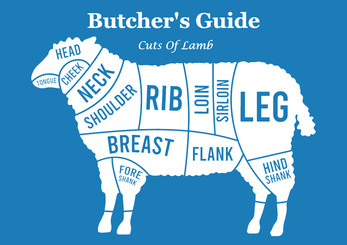 lamb 2.png