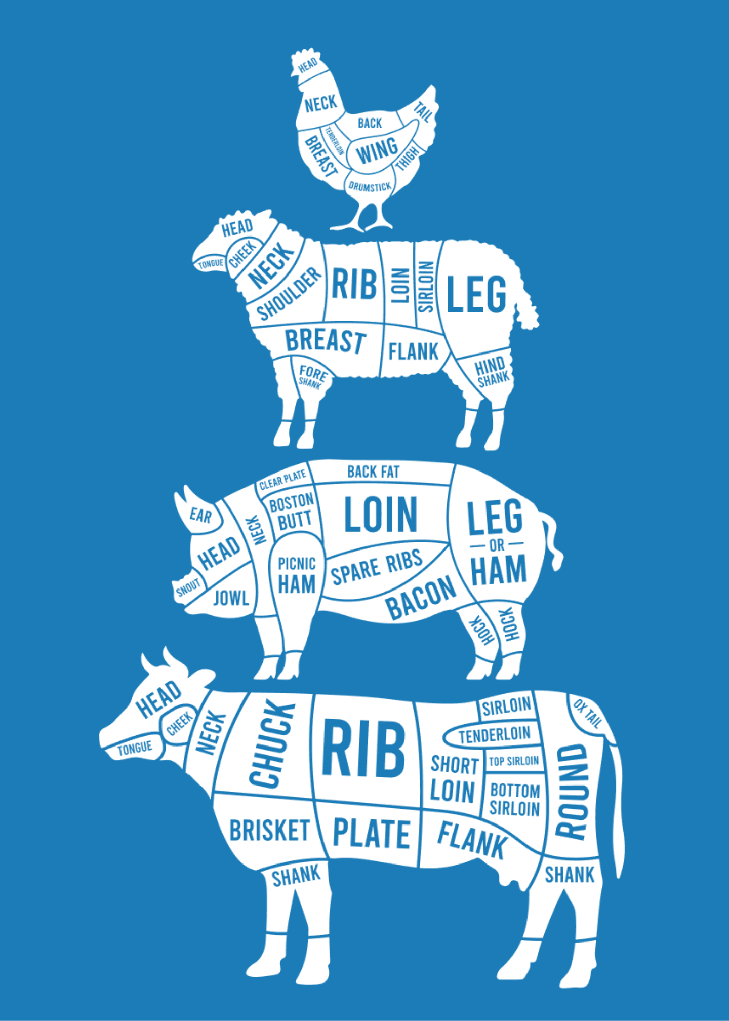 Butchers  Cuts  Blue