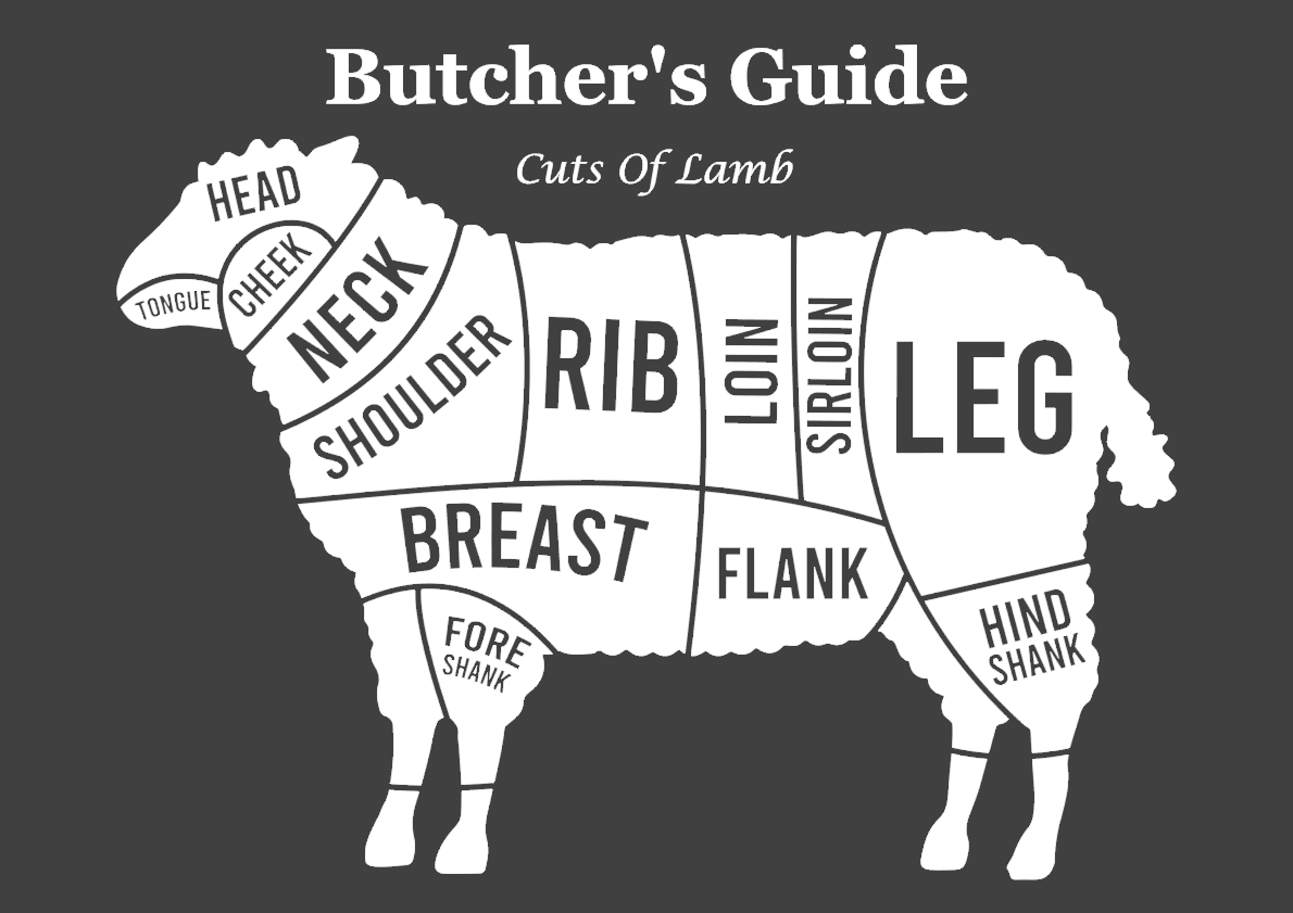 lamb 1.png