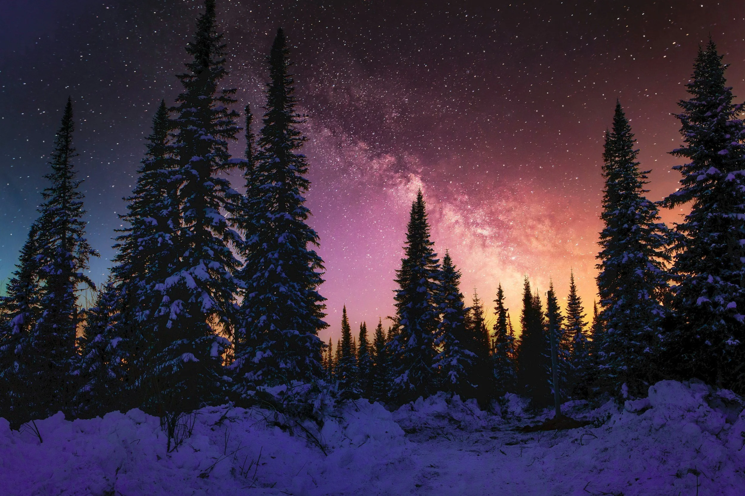 Nighttime view of snow-covered evergreen trees silhouetted against a colorful night sky filled with stars and the Milky Way galaxy.