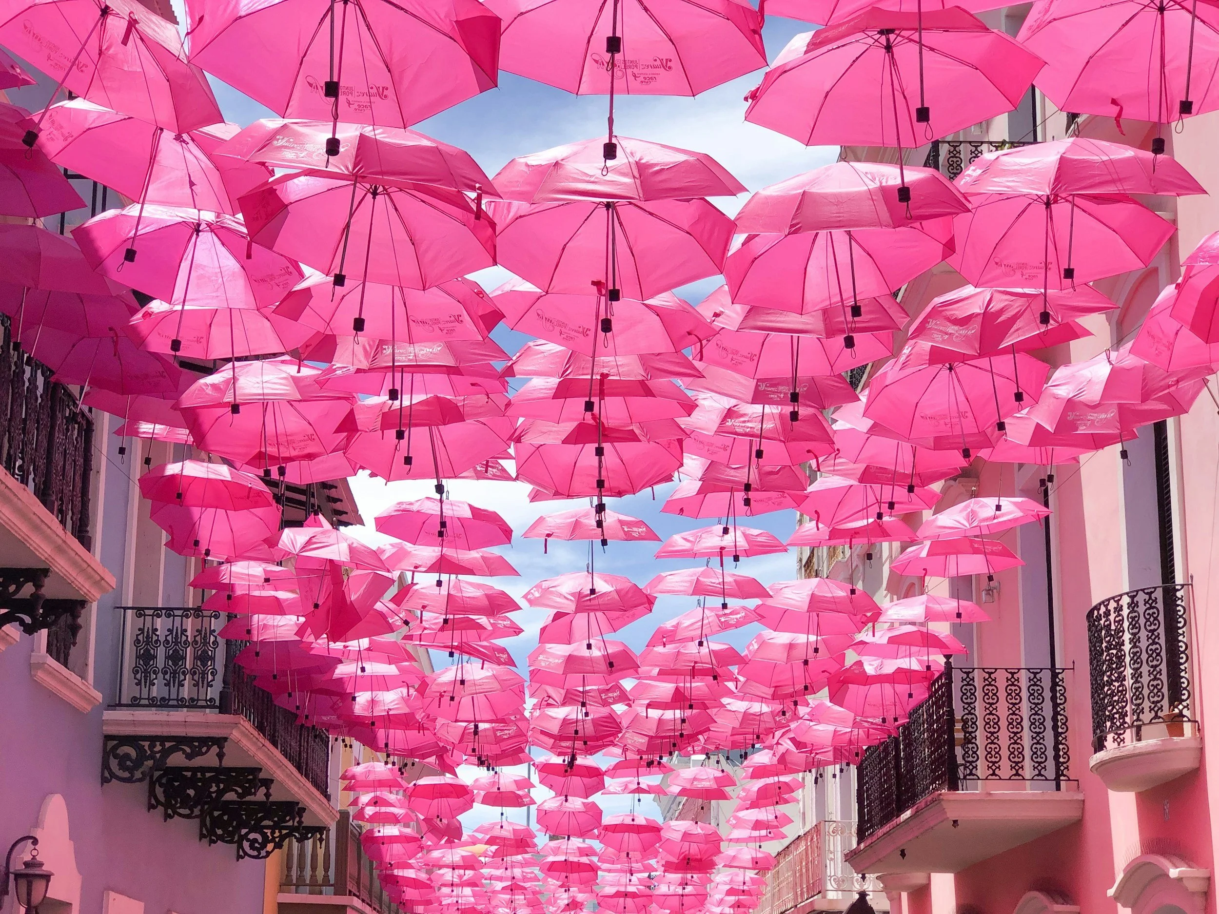 Pink umbrellas suspended overhead in a street with balconies and buildings on either side.