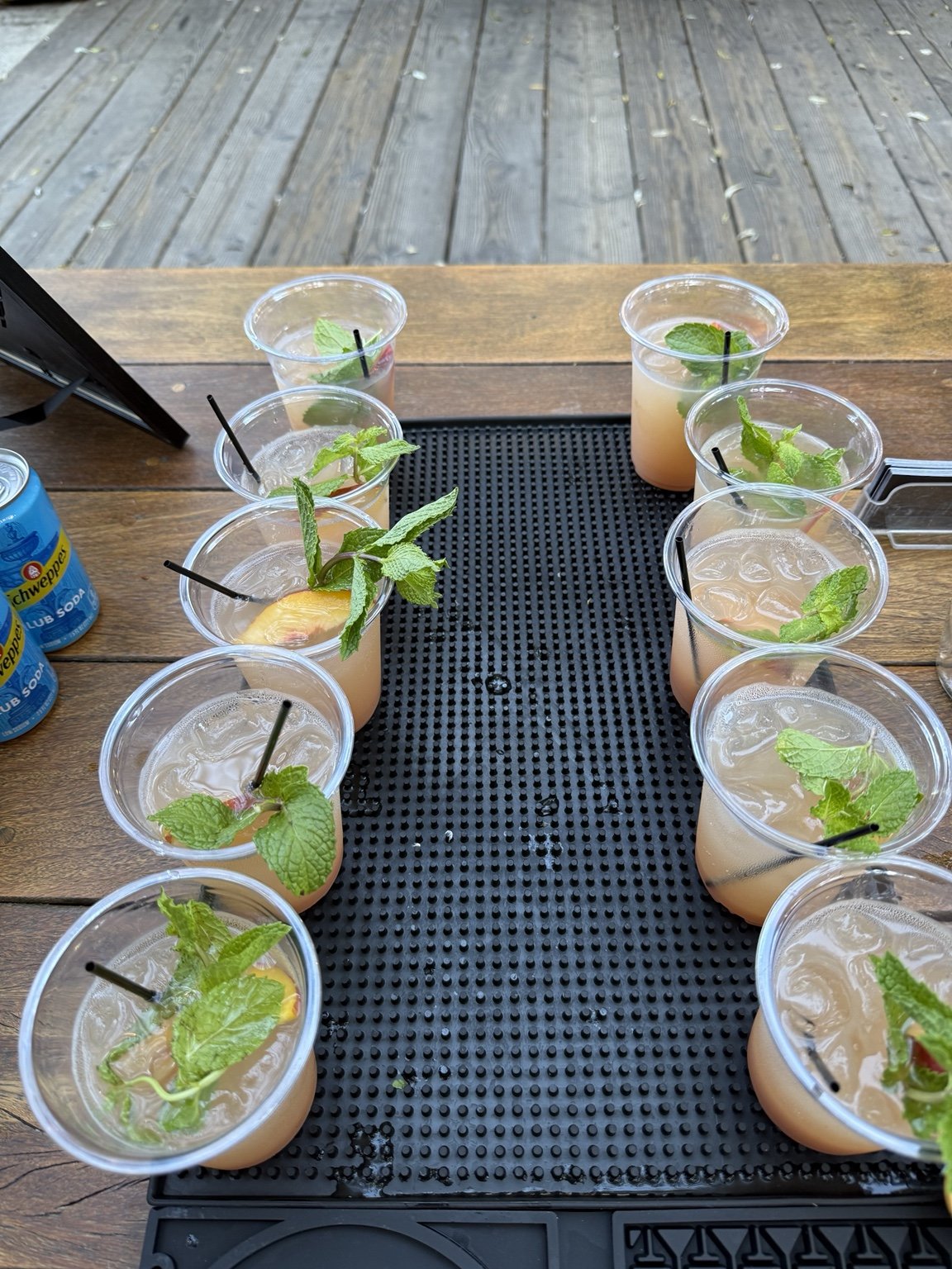 Peach cocktails with fresh mint prepared for guests