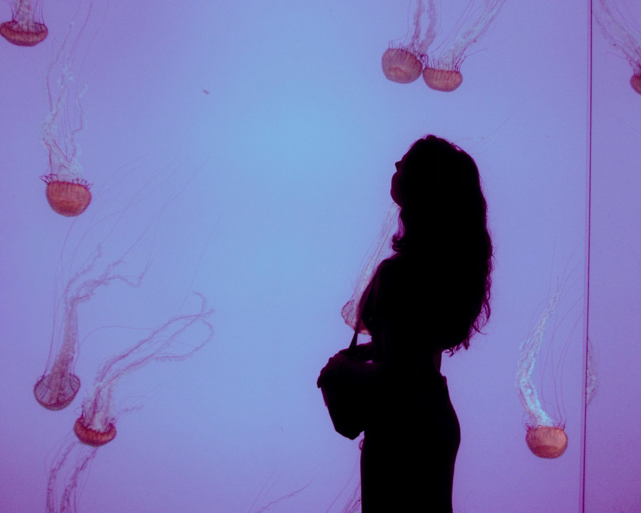 Aquarium