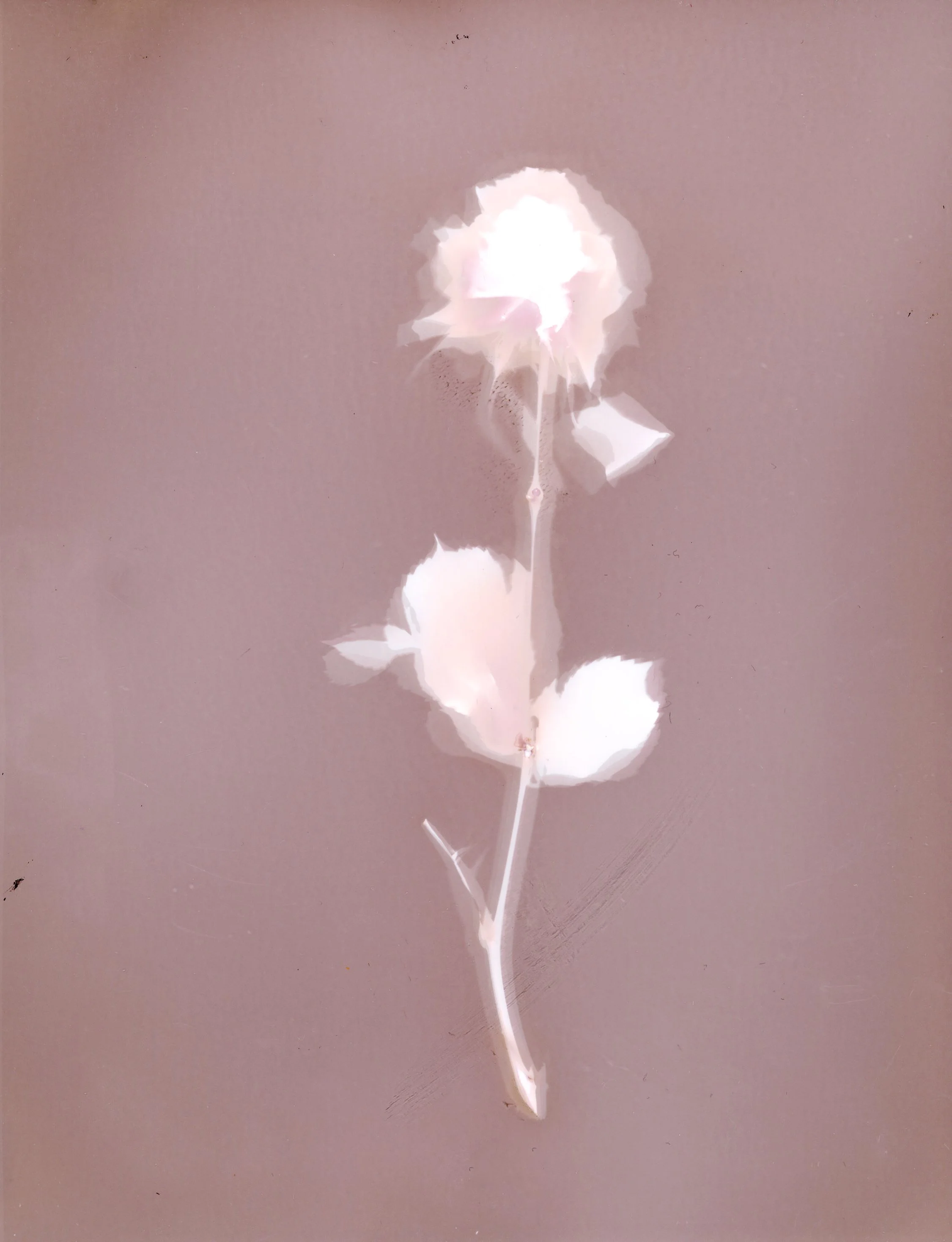 img20251009_14520479.jpg
