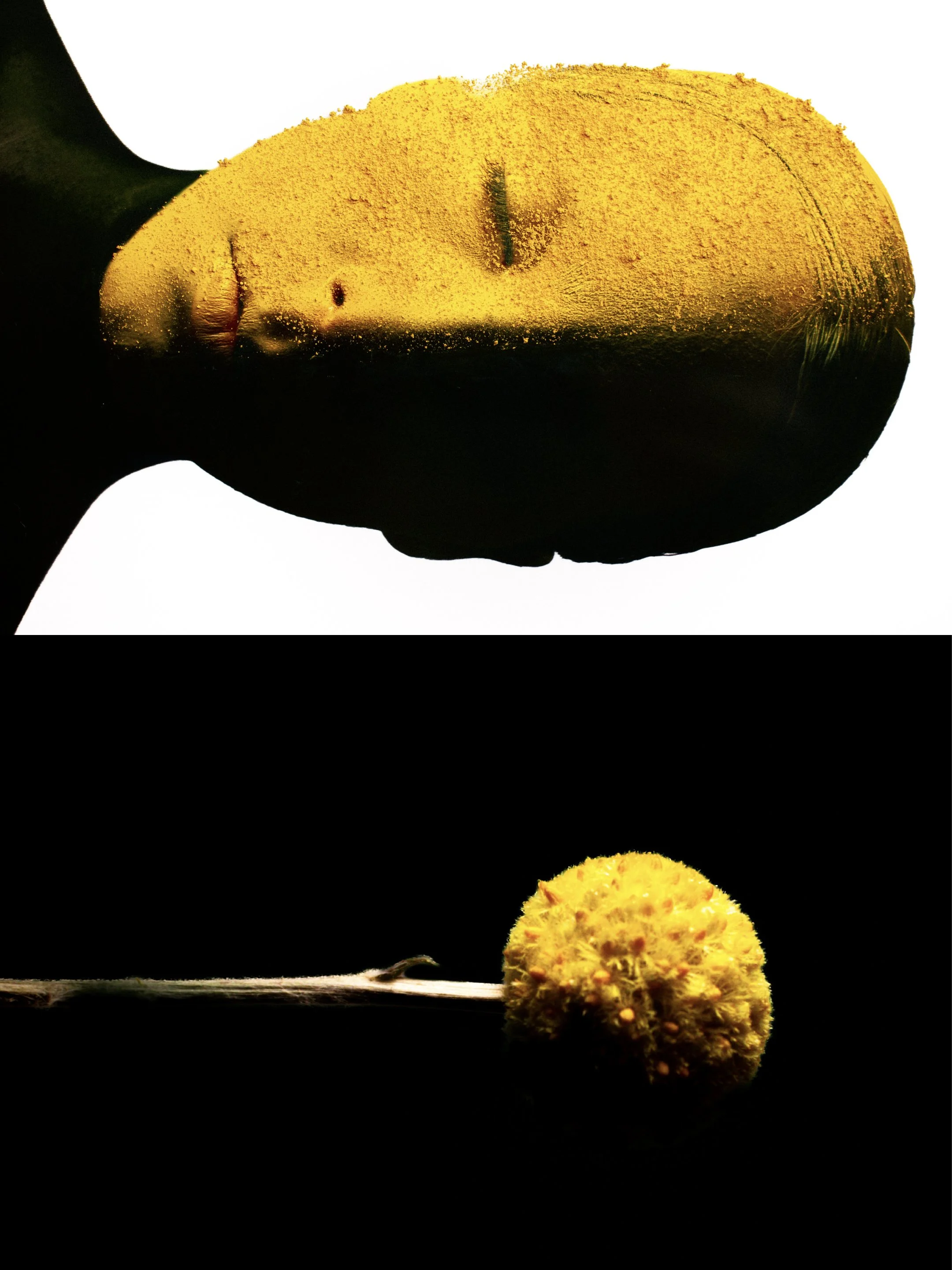 SCRL_0124.jpeg