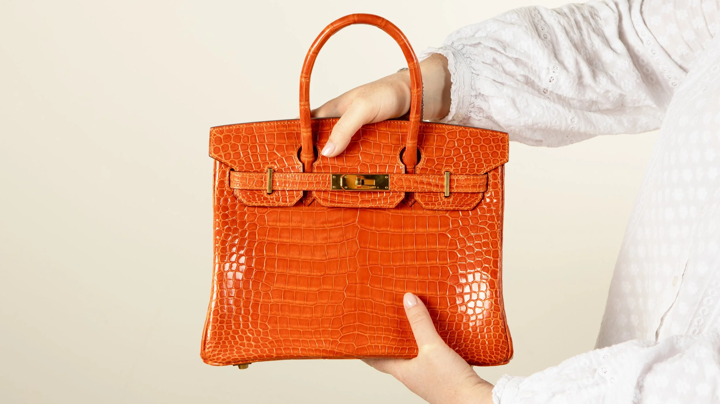 Hermes Birkin 1 (16x9).jpeg