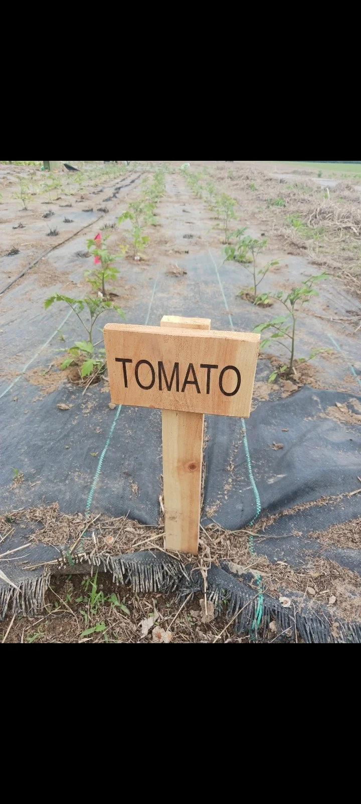 Project AgriLife Alabama