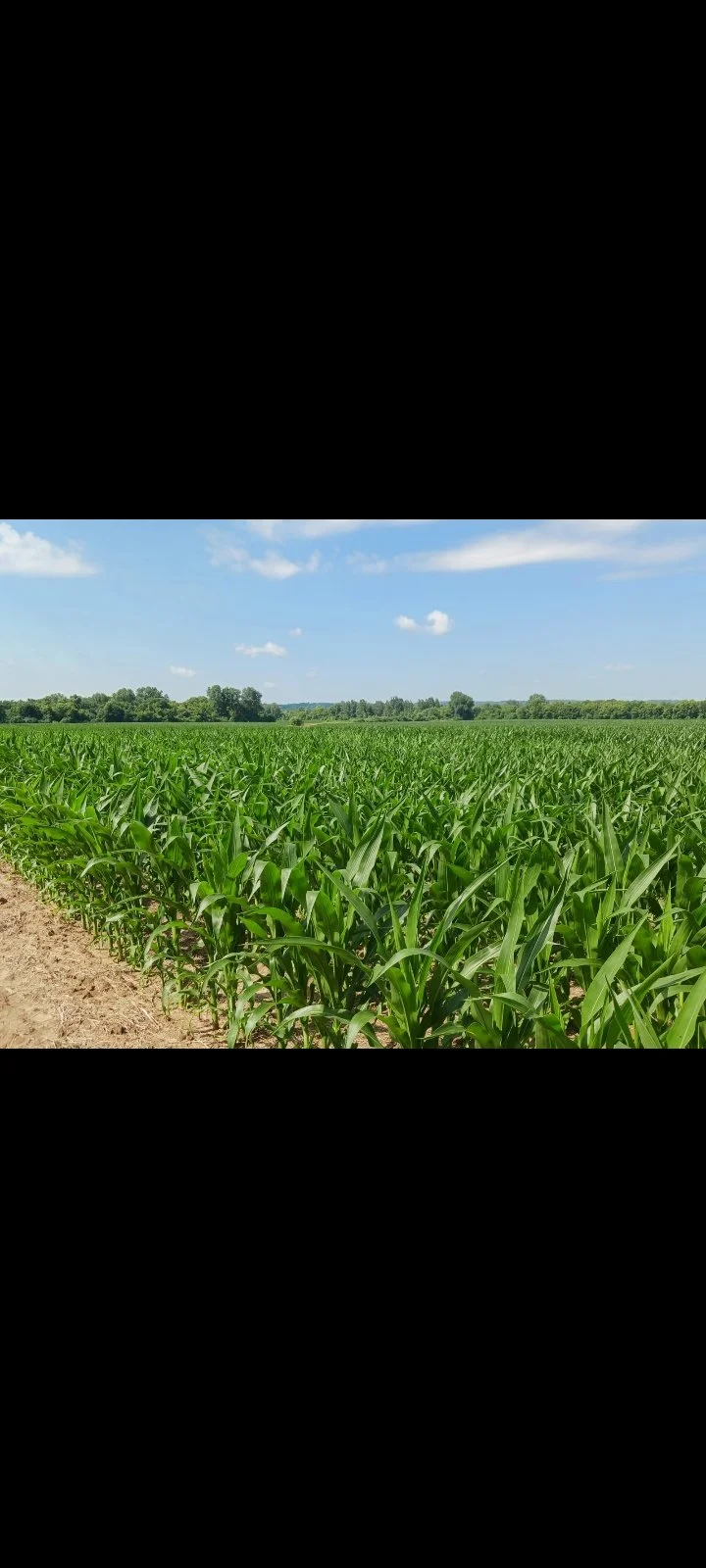 Project AgriLife Washington