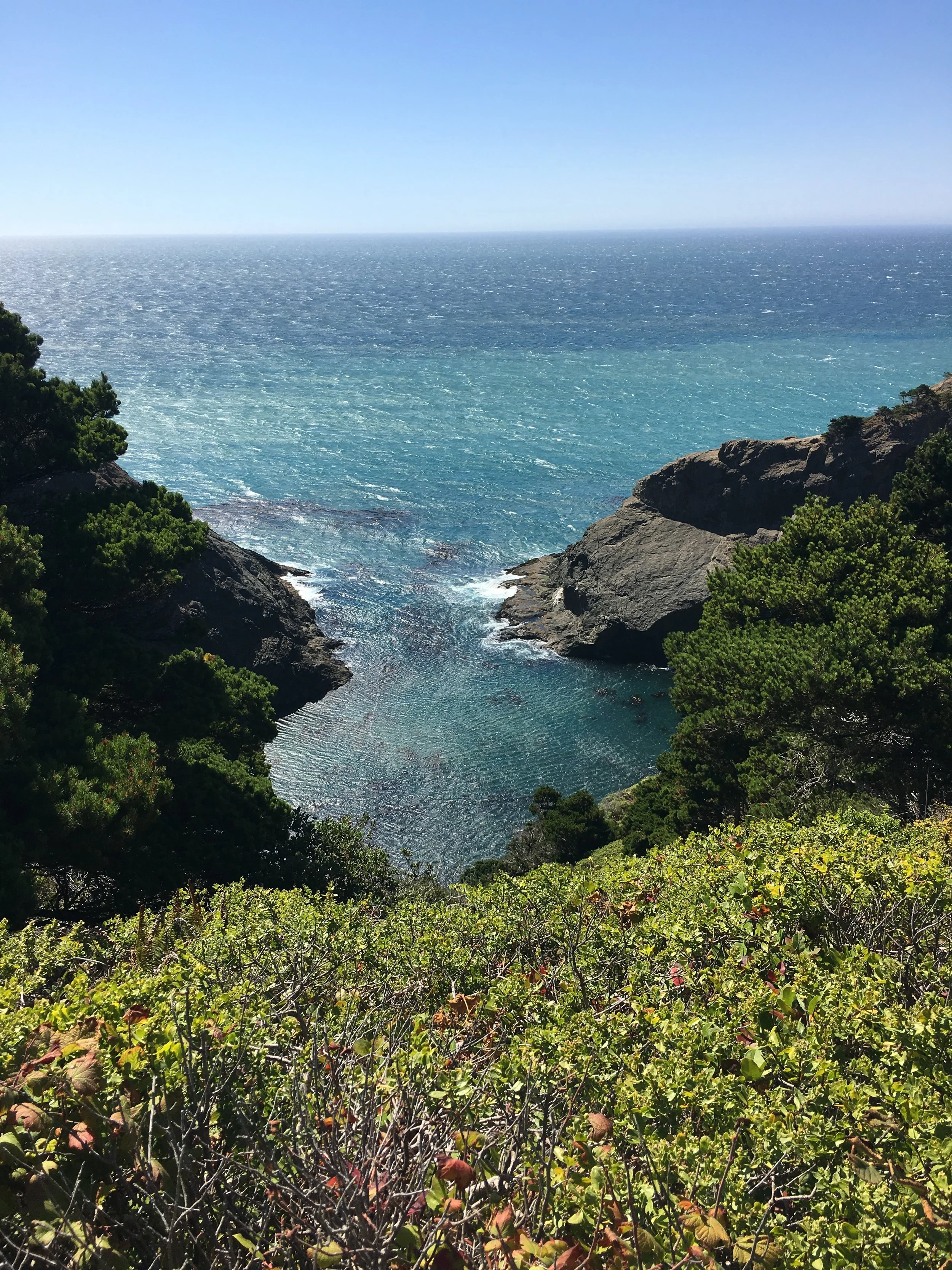 port orford head.JPG
