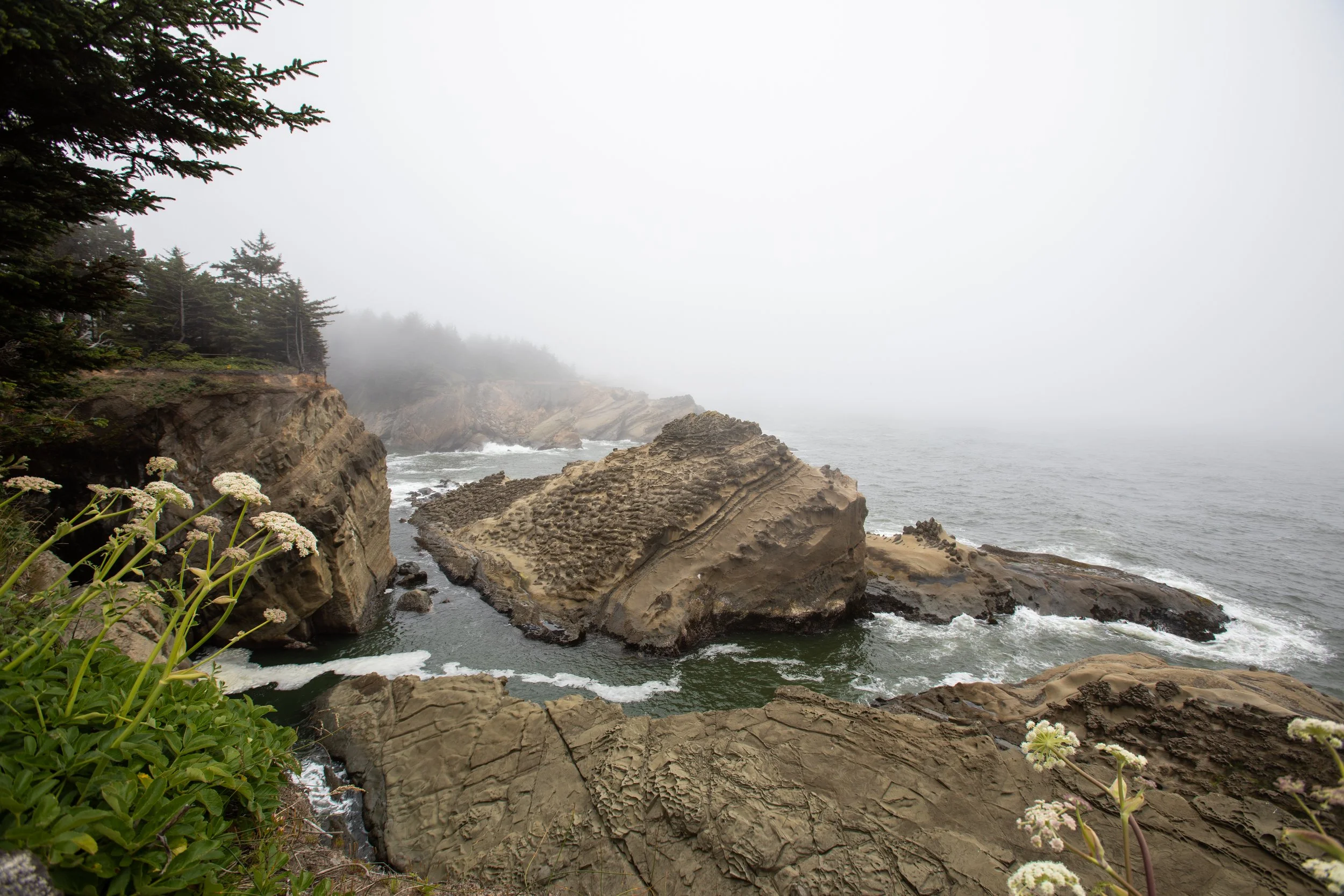 new north bend photo.jpg