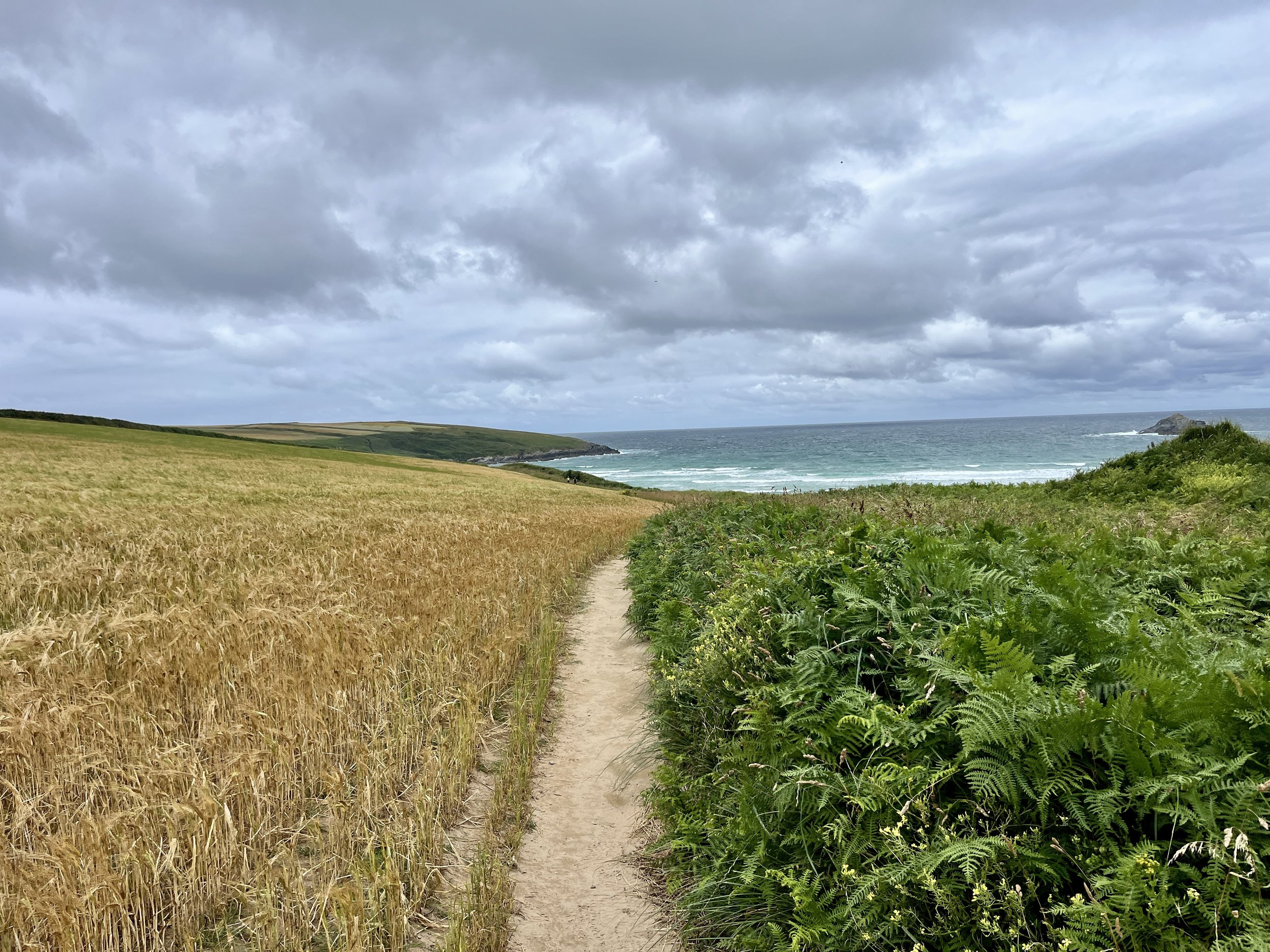 A dirt footpath running through a grassy field towards the ocean with cliffs and a cloudy sky in the background.