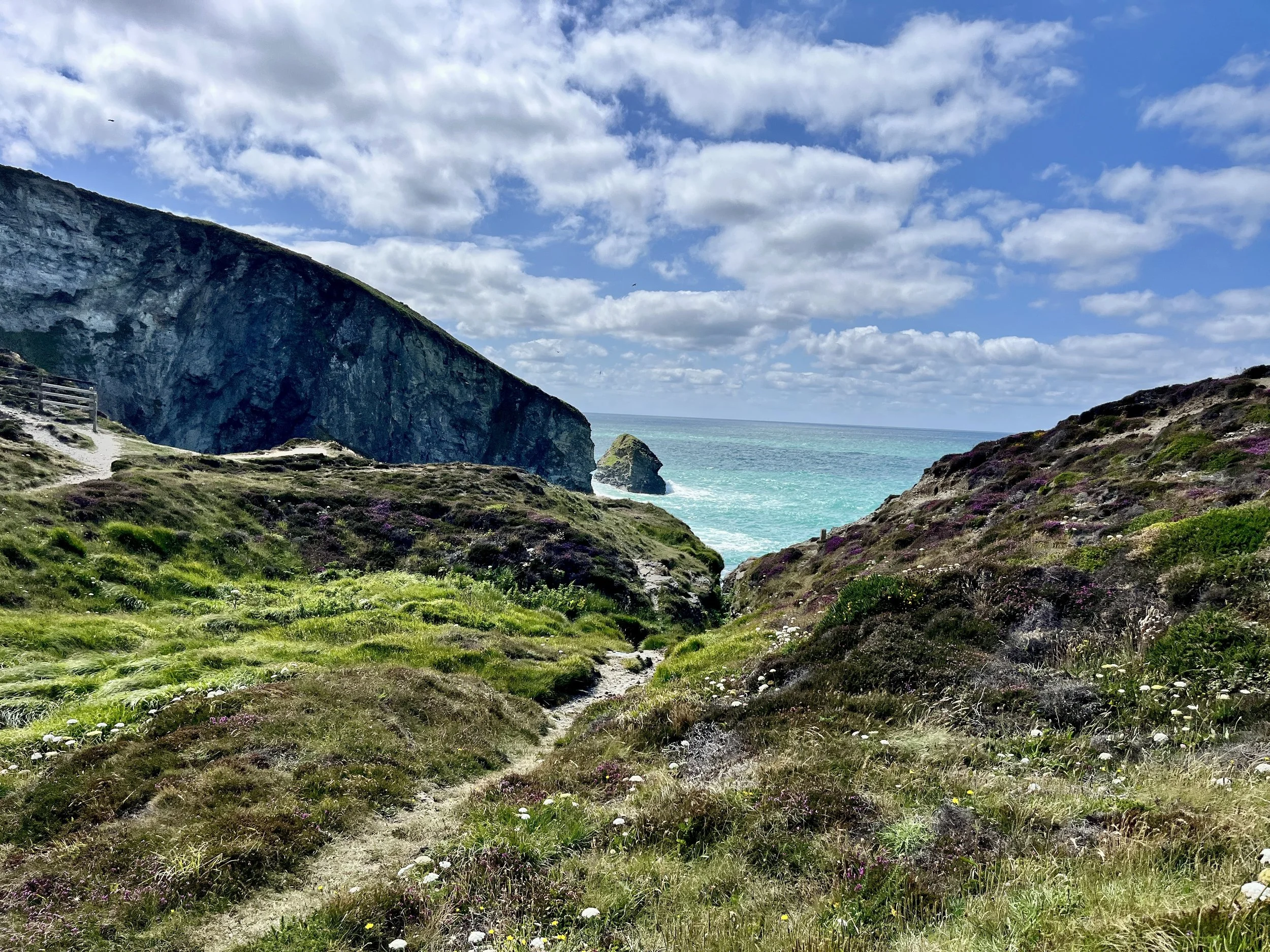A coastal landscape featuring a grassy area with wildflowers, a sandy path, steep cliffs on the left, a large rock formation near the shoreline, and the ocean in the background under a partly cloudy sky.