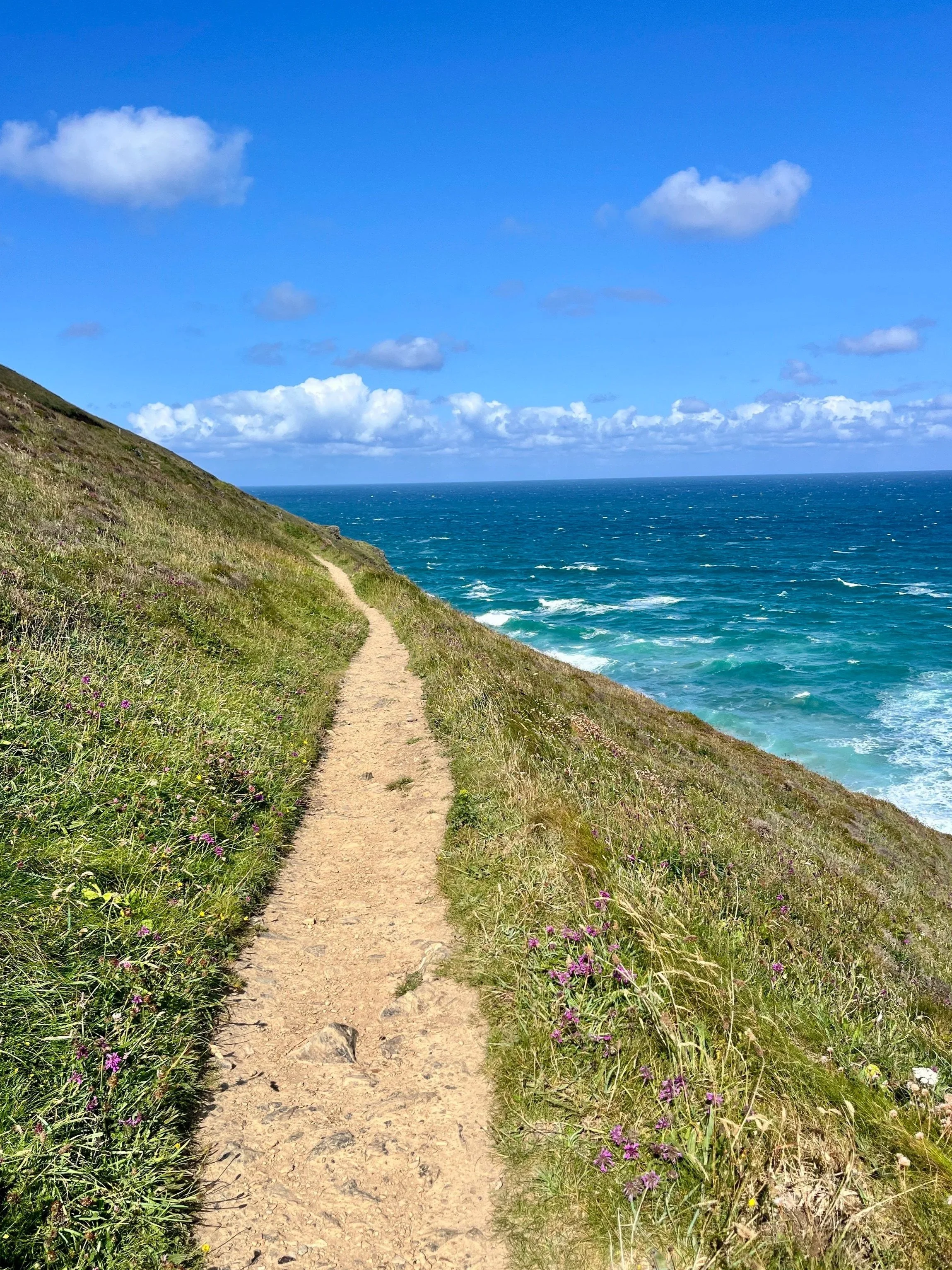 A narrow dirt path winding along a grassy hillside overlooking the ocean, with a clear blue sky and scattered white clouds.