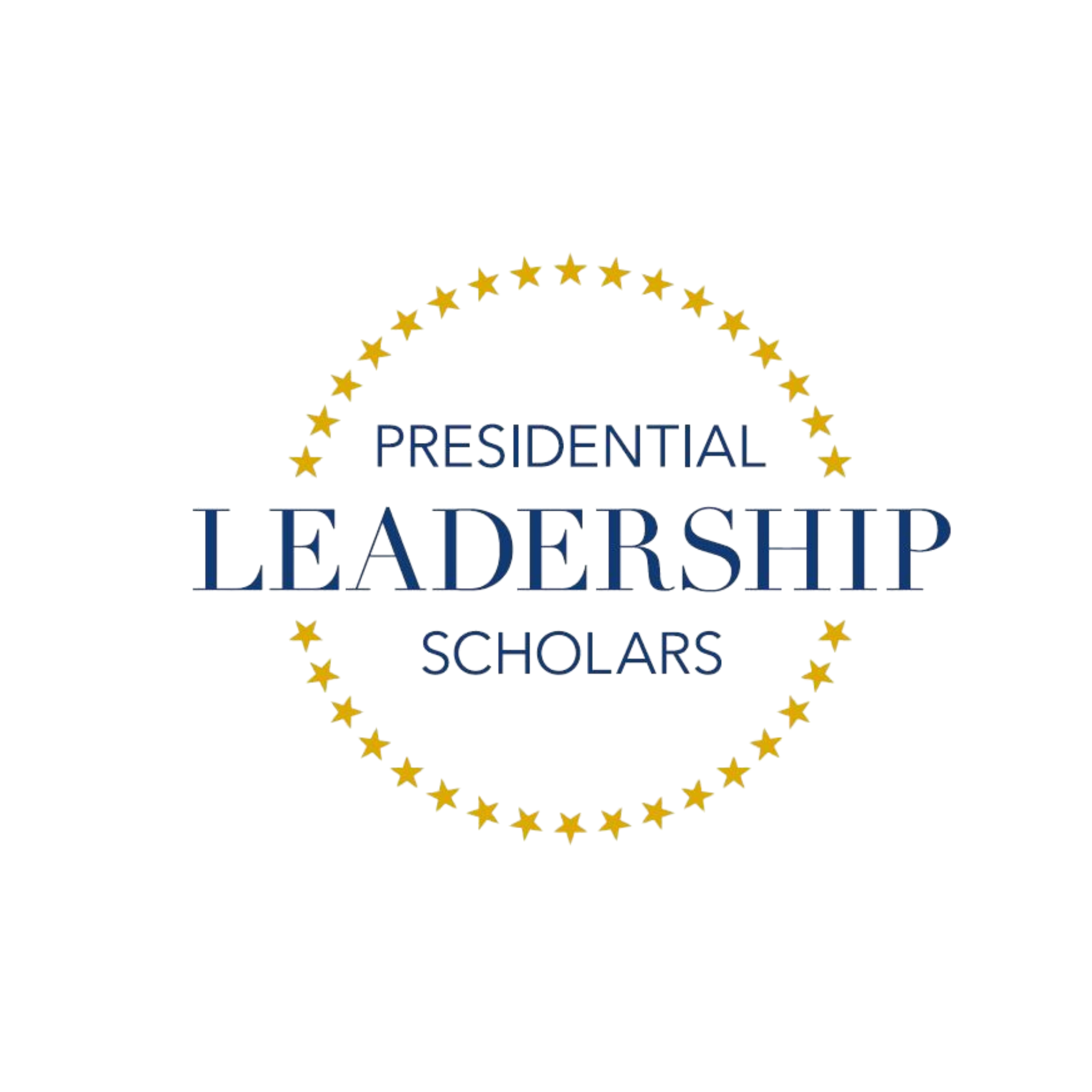 Logo for the Provisional Leaders-Schools program, featuring a colorful ferris wheel with stars and the text 'Provisional Leaders-Schools' underneath.