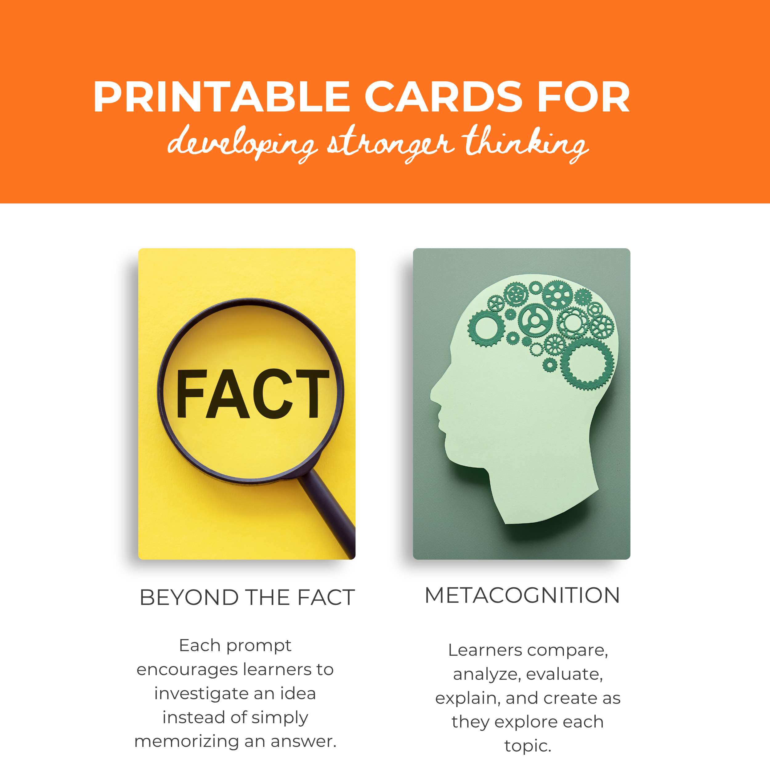 Florida Wonder Cards: Printable Critical Thinking & Discussion Deck Grades 4-8