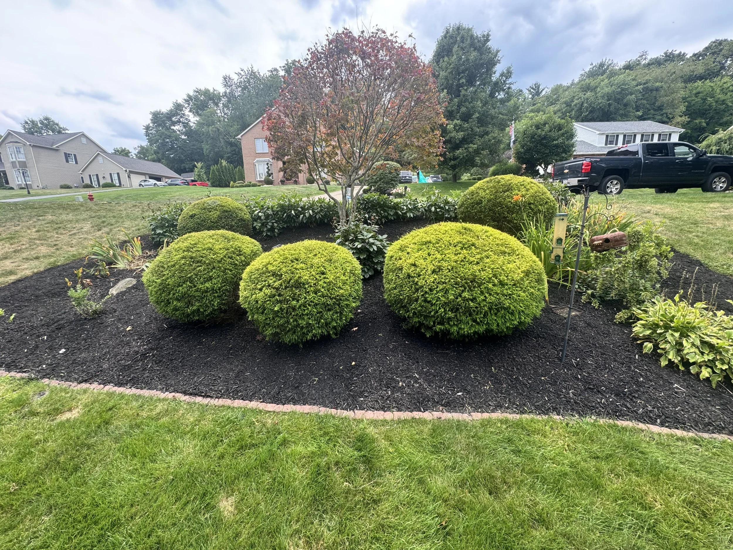 Mulching